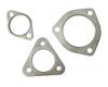 Exhaust Gasket