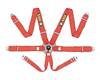 6 Point Racing Harness