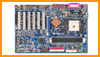 Our Product Range...